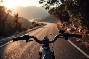What Is A Trek E Bike